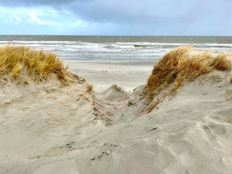 2020_Schiermonnikoog_005.jpeg
