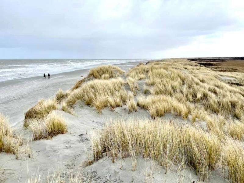 2020_Schiermonnikoog_006.jpeg