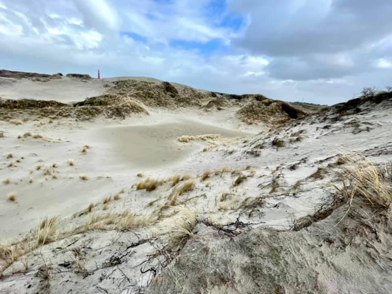 2020_Schiermonnikoog_008.jpeg